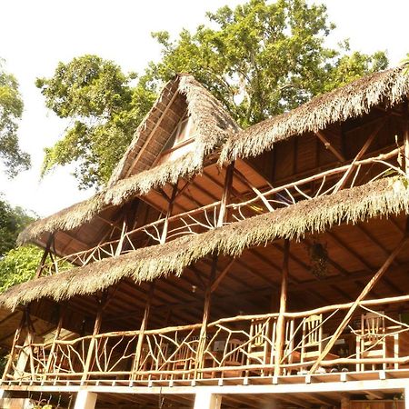Hostal Pakay Tena Exterior foto