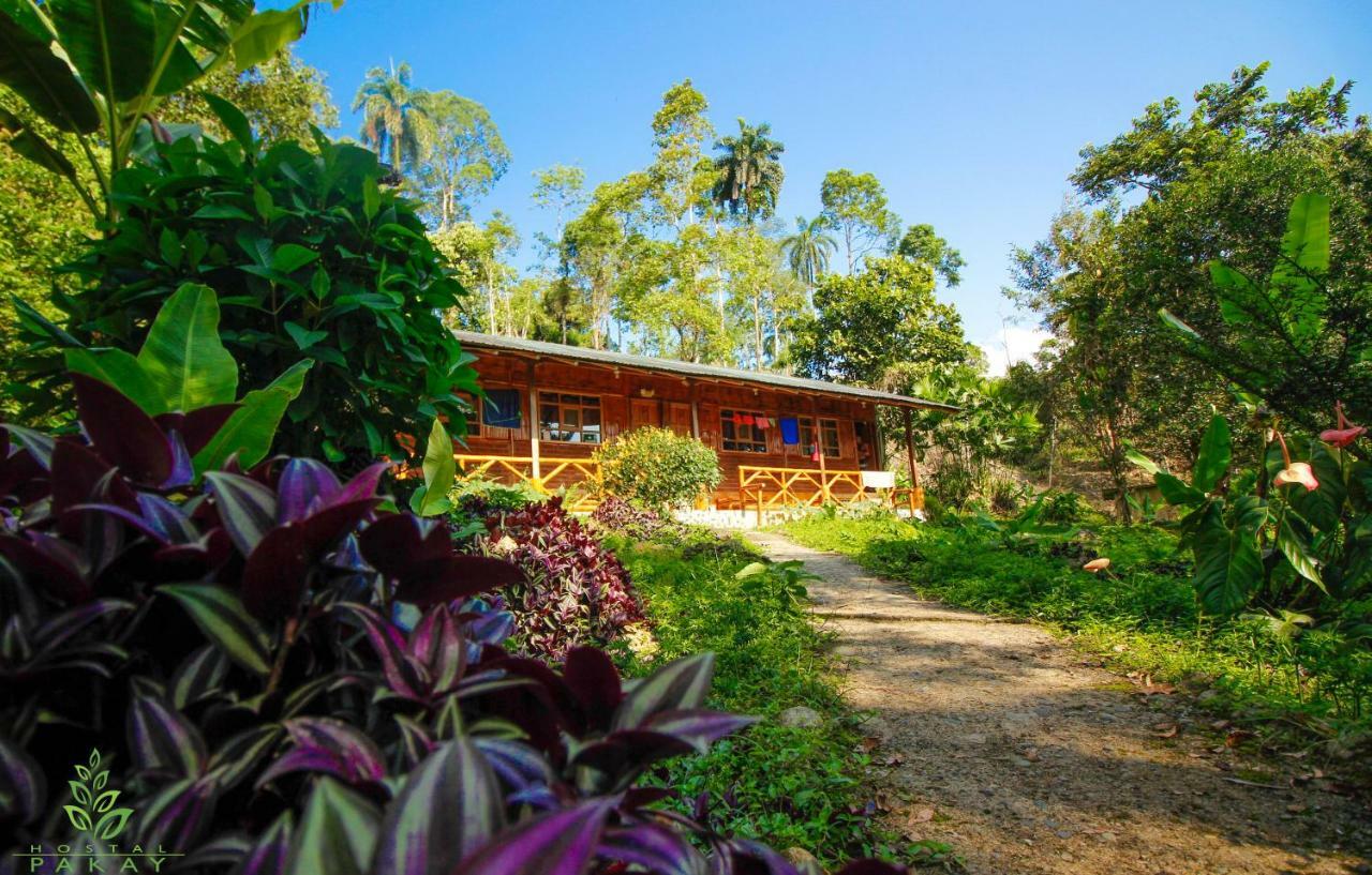 Hostal Pakay Tena Exterior foto